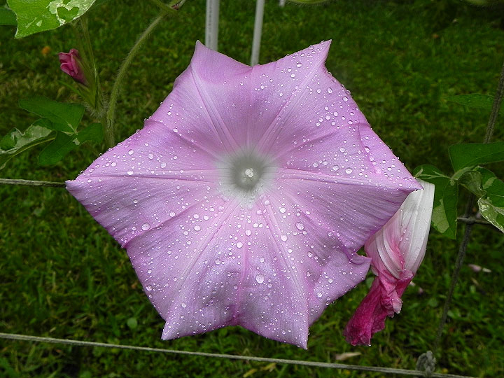 DSCN5522