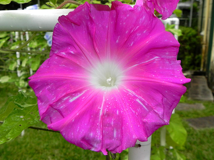 DSCN5537