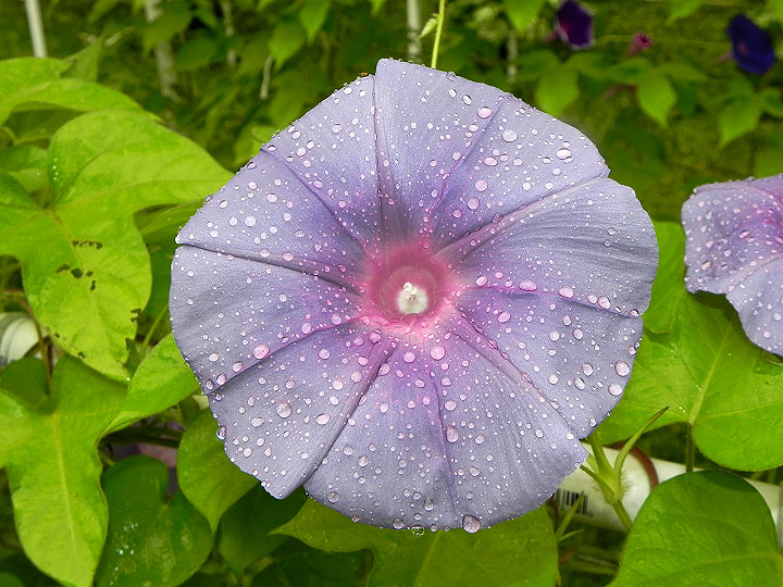DSCN5539_01
