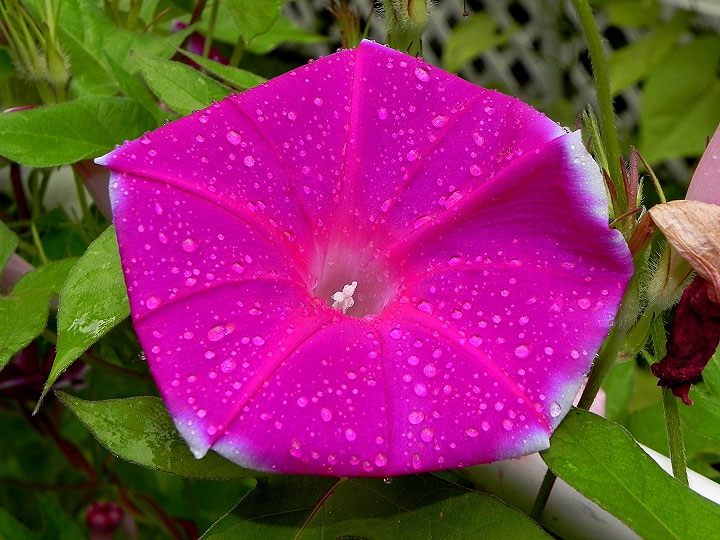 DSCN5557