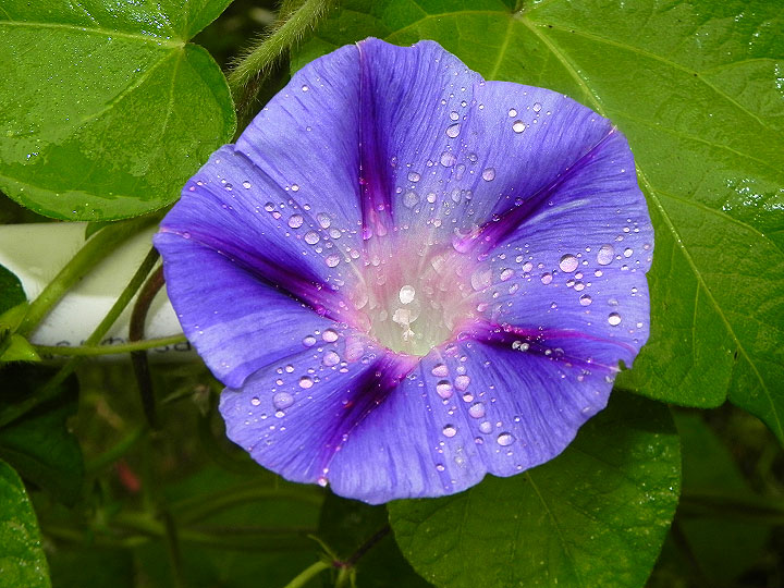 DSCN5560_01