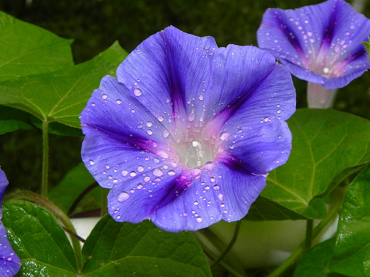 DSCN5562_01