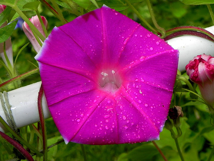 DSCN5563_01