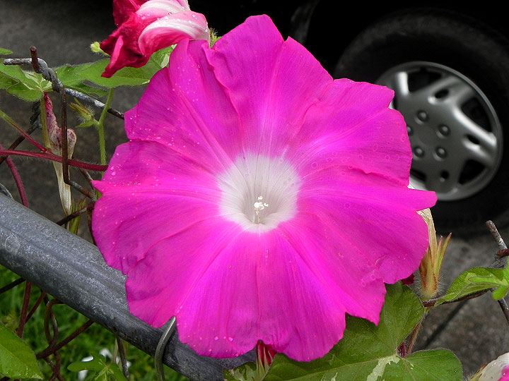 DSCN5611