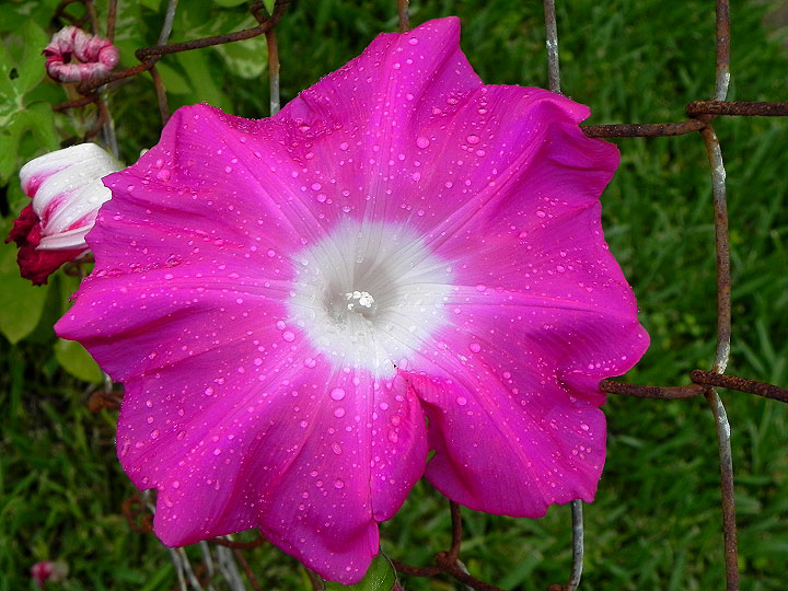 DSCN5613