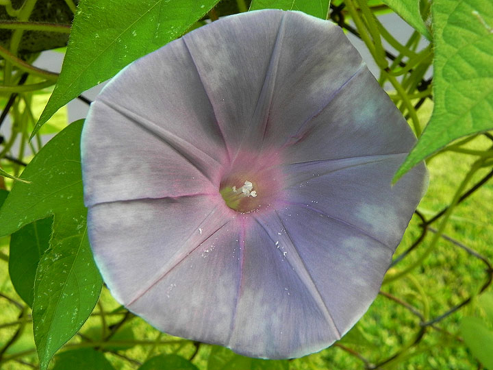 DSCN5629