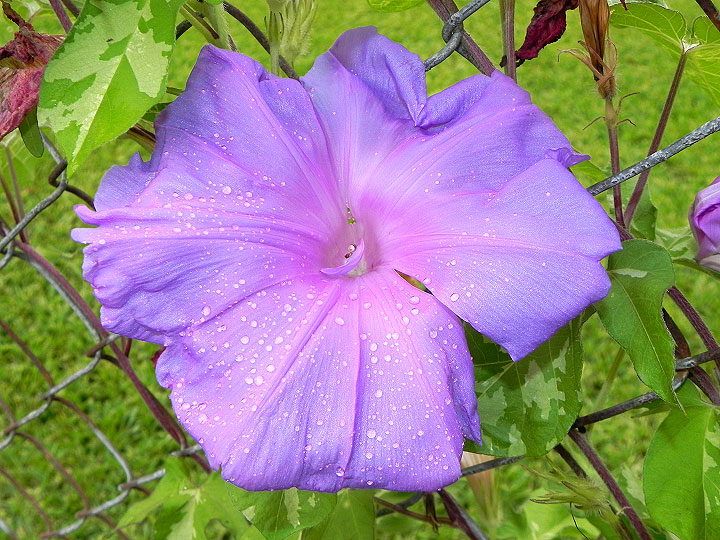 DSCN5647