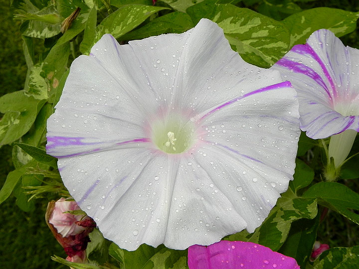DSCN5655_01