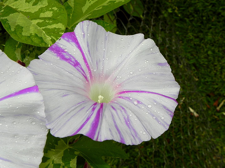 DSCN5656_01