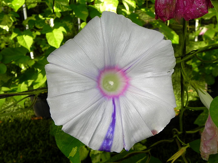 DSCN5687