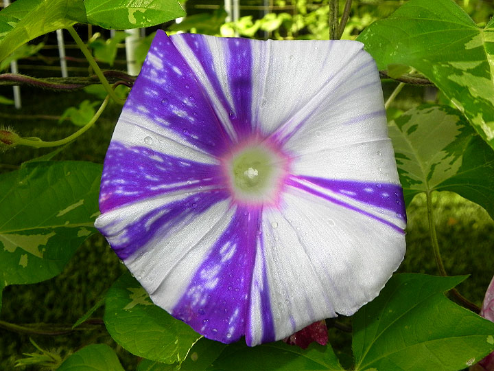 DSCN5688
