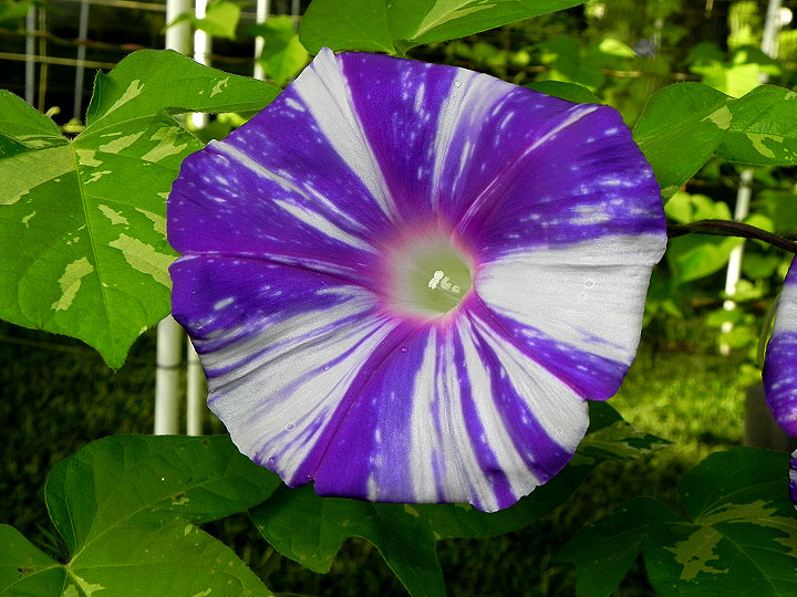 DSCN5689