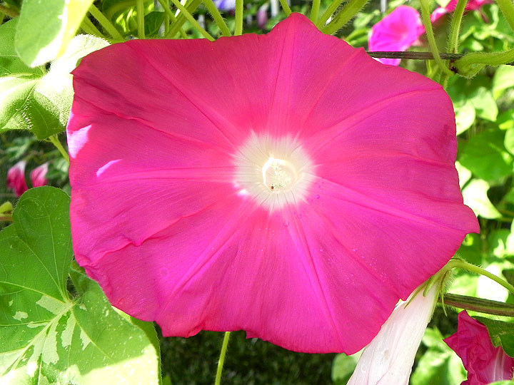 DSCN5695