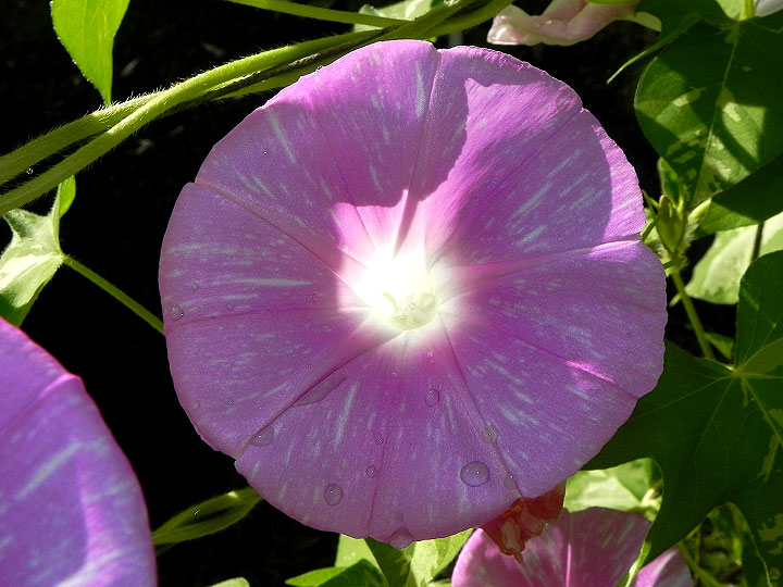 DSCN5706