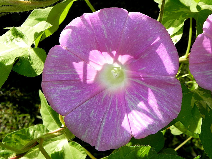 DSCN5710_01
