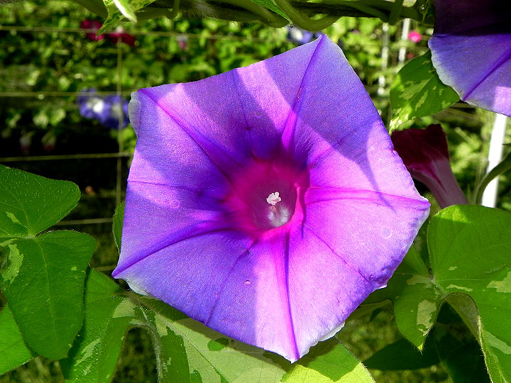 DSCN5717