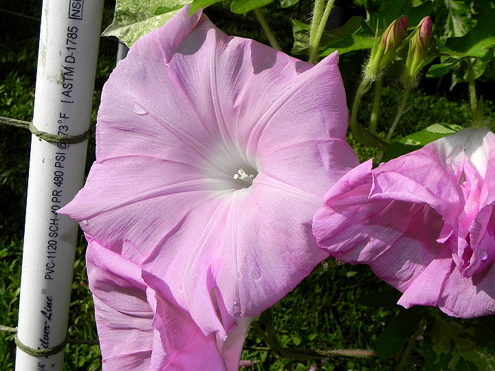 DSCN5731_02