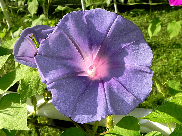 DSCN5733_01