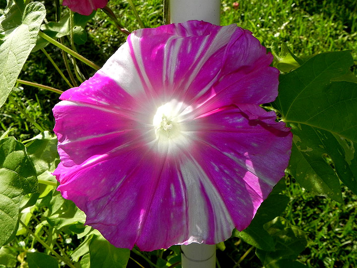 DSCN5734_01