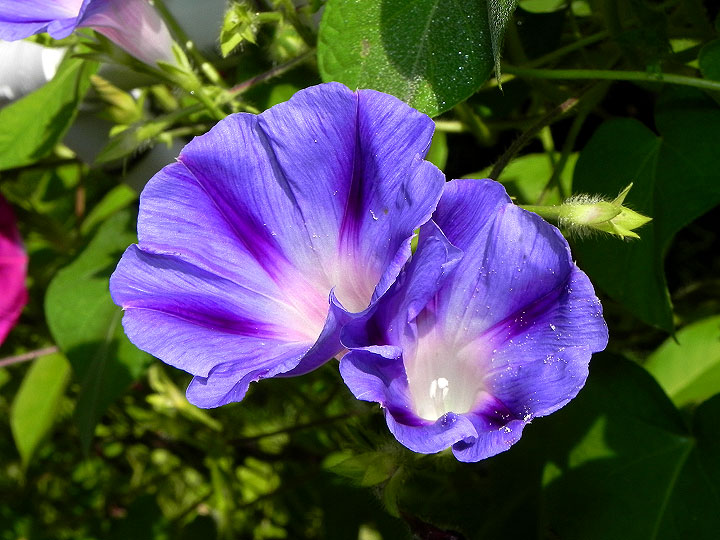 DSCN5764