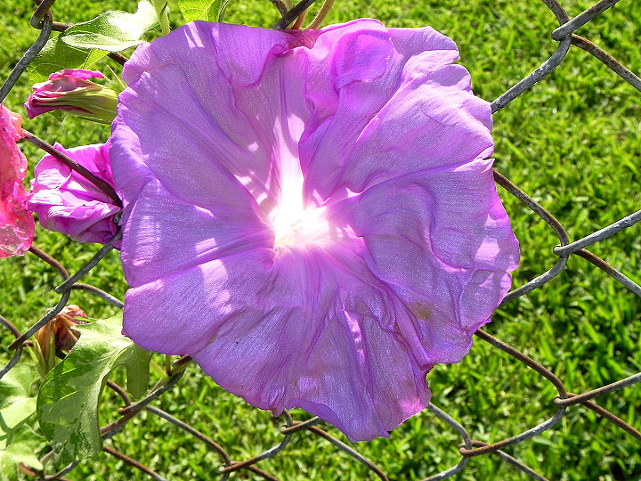 DSCN5821