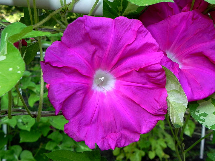 DSCN5876