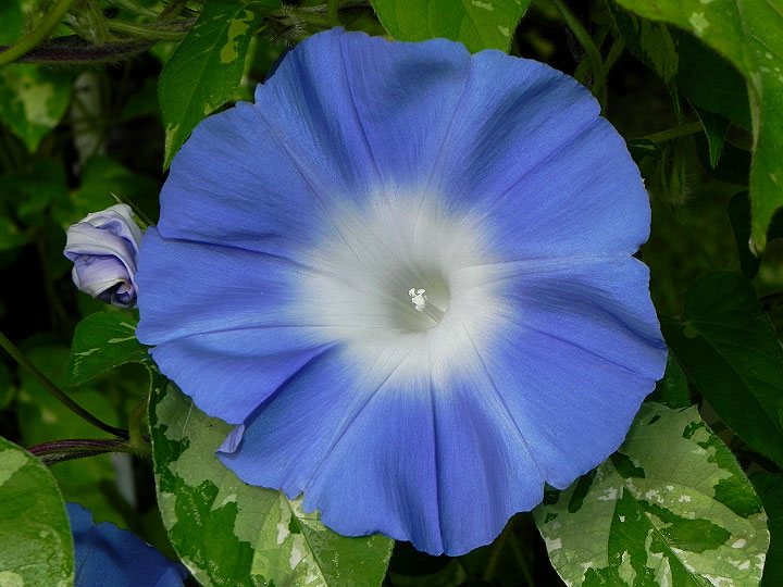DSCN6024