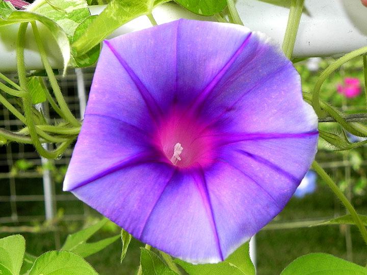 DSCN6041