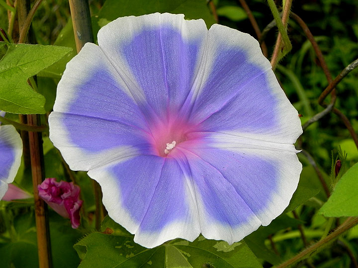 DSCN6089