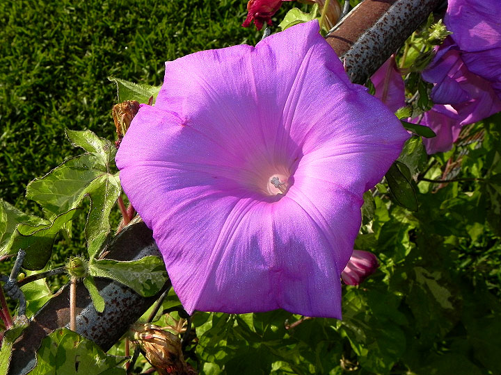 DSCN6133