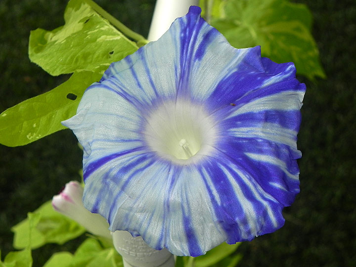 DSCN6154