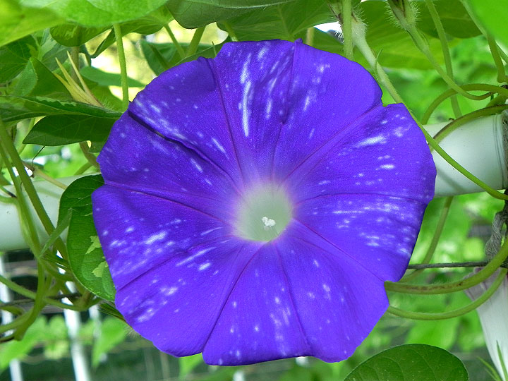 DSCN6160