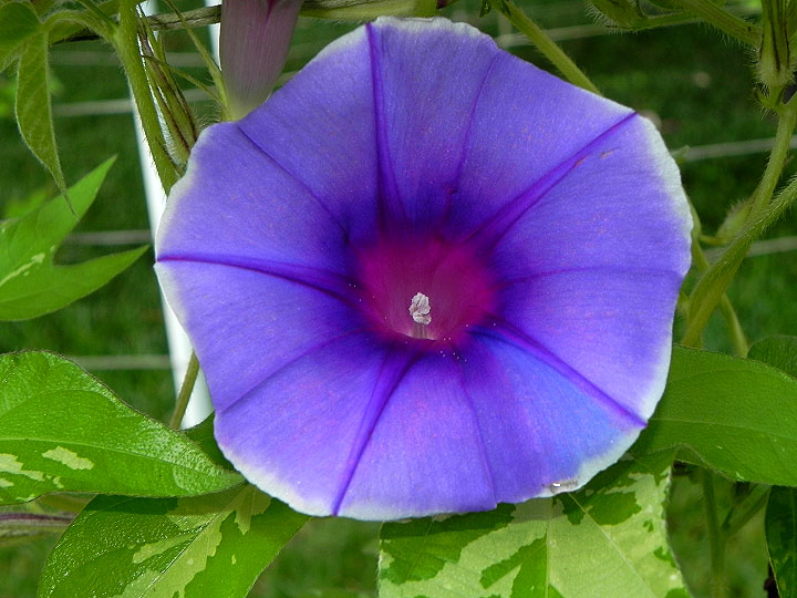 DSCN6179