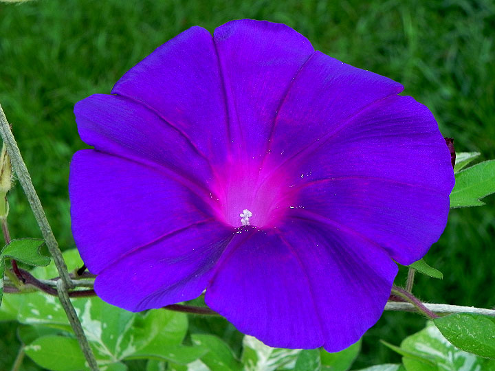 DSCN6195