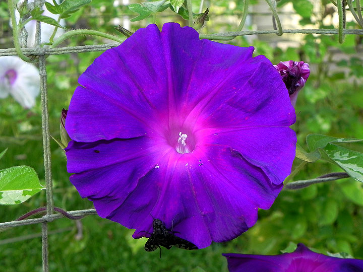 DSCN6204