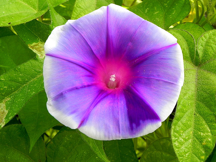 DSCN6217_01