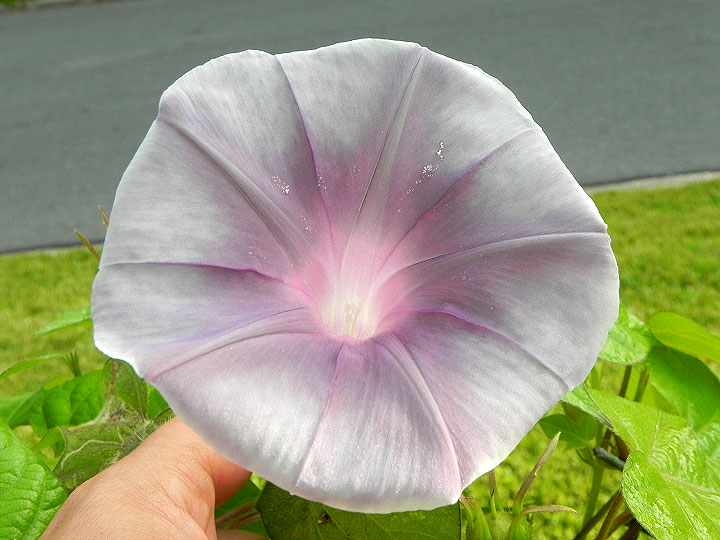 DSCN6222_01