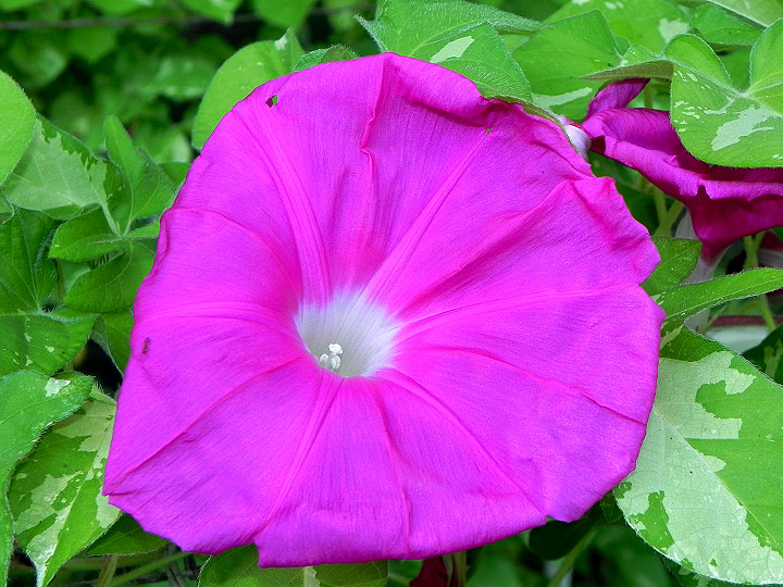 DSCN6283
