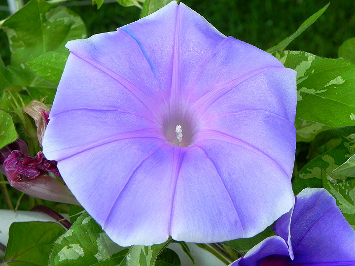 DSCN6303