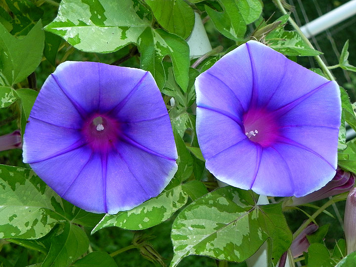DSCN6304