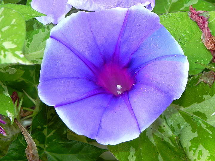 DSCN6305
