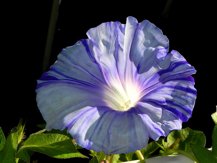 DSCN6339