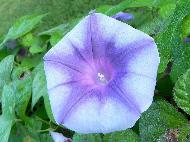DSCN6379_01