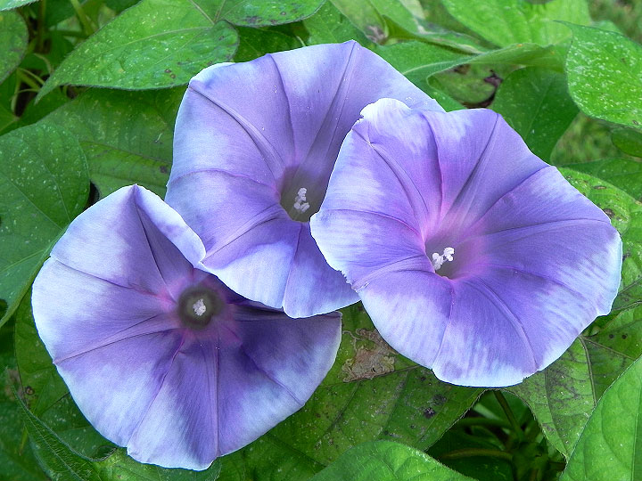 DSCN6452_01