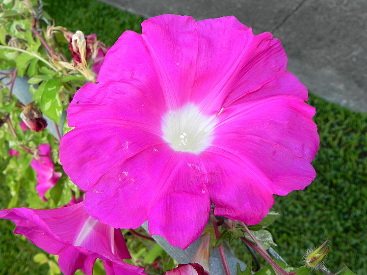 DSCN6475