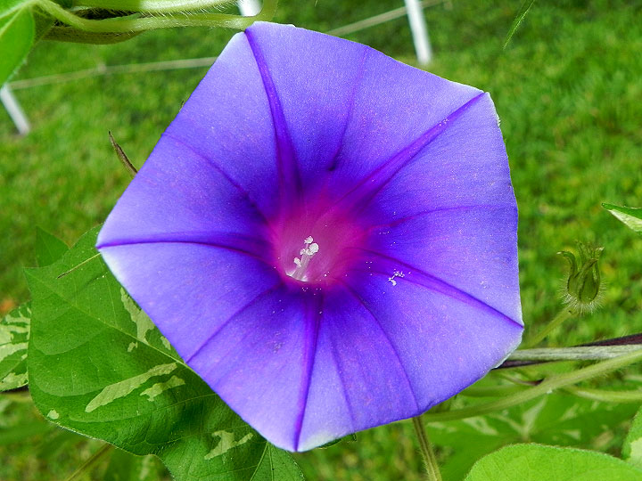 DSCN6573