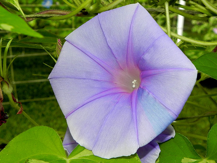 DSCN6574