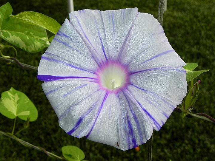 DSCN6702