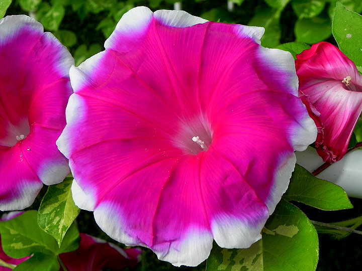 DSCN6708