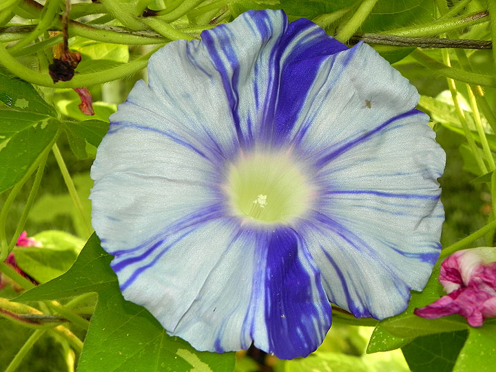 DSCN6764